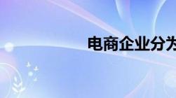 电商企业分为哪几类