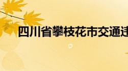 四川省攀枝花市交通违章怎么进行收费