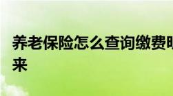 养老保险怎么查询缴费明细这几种方法收藏起来