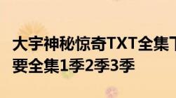 大宇神秘惊奇TXT全集下载小说电子书下载我要全集1季2季3季