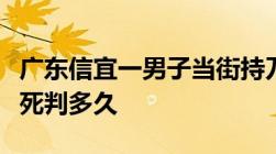 广东信宜一男子当街持刀伤人持刀故意伤人致死判多久