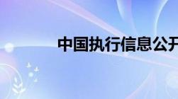 中国执行信息公开网官网入口