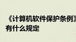 《计算机软件保护条例》对软件著作权的保护有什么规定