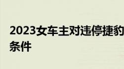 2023女车主对违停捷豹连撞11下,刑事拘留的条件