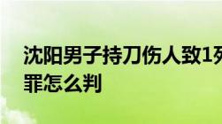 沈阳男子持刀伤人致1死2伤被刑拘持刀杀人罪怎么判