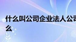 什么叫公司企业法人公司企业法人的概念是什么