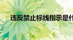 违反禁止标线指示是什么意思罚多少钱