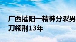 广西灌阳一精神分裂男子因离婚未果杀妻21刀领刑13年