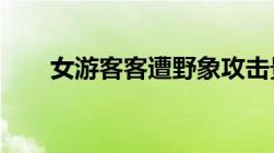 女游客客遭野象攻击景区该如何担责