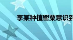 李某种植罂粟意识到办法铲除可以