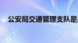 公安局交通管理支队是属于什么部门类别