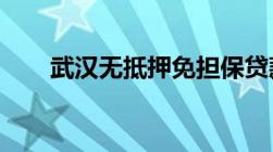 武汉无抵押免担保贷款需要注意什么