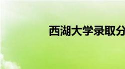 西湖大学录取分数线2022