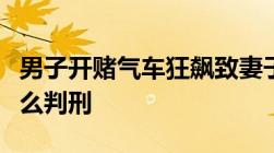 男子开赌气车狂飙致妻子死亡危害公共安全怎么判刑