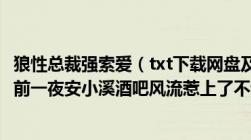 狼性总裁强索爱（txt下载网盘及作者：金闪闪及简介：订婚前一夜安小溪酒吧风流惹上了不该招惹）