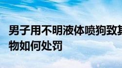 男子用不明液体喷狗致其死亡被抓毁损他人财物如何处罚