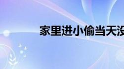 家里进小偷当天没报警怎么办