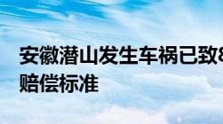 安徽潜山发生车祸已致8人死亡车祸致人死亡赔偿标准