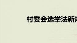 村委会选举法新规2021流程