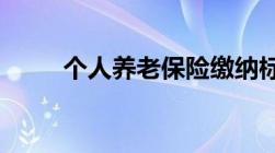 个人养老保险缴纳标准比例是多少