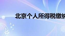 北京个人所得税缴纳情况如何查询