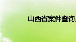 山西省案件查询系统是什么