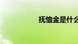 抚恤金是什么意思啊