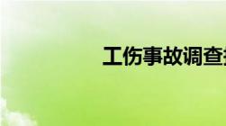 工伤事故调查报告表格