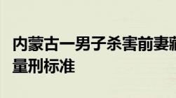 内蒙古一男子杀害前妻藏尸冰柜故意伤害致死量刑标准