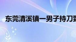 东莞清溪镇一男子持刀致6人受伤如何处理