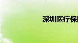 深圳医疗保险查询