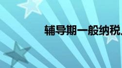 辅导期一般纳税人什么意思