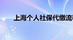 上海个人社保代缴流程是什么样子的