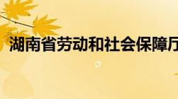 湖南省劳动和社会保障厅是要干哪些用的呢