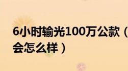 6小时输光100万公款（私自挪用公司的资金会怎么样）