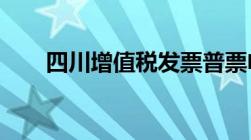 四川增值税发票普票电子版怎样开具