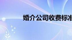 婚介公司收费标准价目一览表