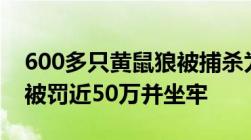 600多只黄鼠狼被捕杀为保护动物3名被告人被罚近50万并坐牢