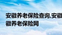 安徽养老保险查询,安徽个人养老帐户查询,安徽养老保险网