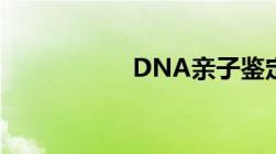 DNA亲子鉴定多少钱