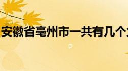 安徽省亳州市一共有几个火车站分别是哪几个