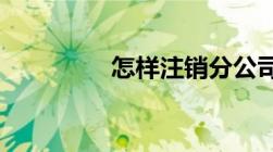 怎样注销分公司营业执照