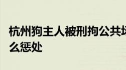 杭州狗主人被刑拘公共场所寻衅滋事罪法律怎么惩处