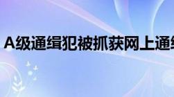 A级通缉犯被抓获网上通缉犯被抓后如何处罚