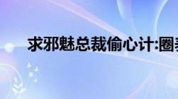 求邪魅总裁偷心计:圈养小娇妻txt下载