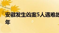 安徽发生凶案5人遇难故意伤人致死一般判几年