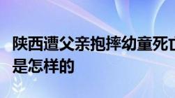 陕西遭父亲抱摔幼童死亡故意杀人罪量刑标准是怎样的