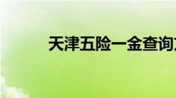 天津五险一金查询方式是怎样的