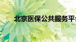 北京医保公共服务平台官网个人登录