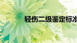 轻伤二级鉴定标准细则是哪些